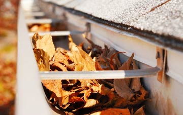 Ashford Common gutter cleaning companies