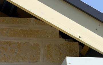 soffit repair Ashford Common